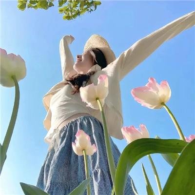 冲撞乐队的沉浮